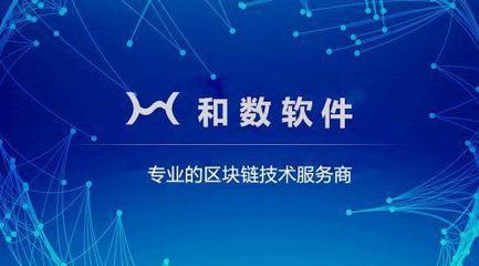 和數(shù)軟件:作為比特幣核心技術(shù)的區(qū)塊鏈到底是什么?